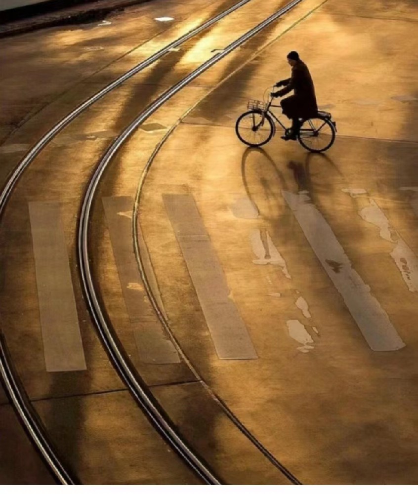 請查收這份高考月曆@2024高考考生